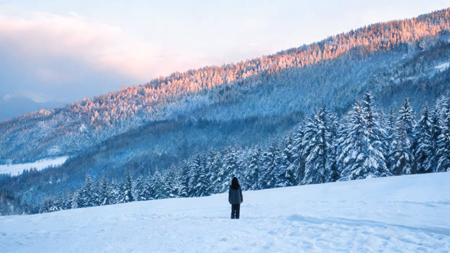 Snow, pines, first light — Real style
